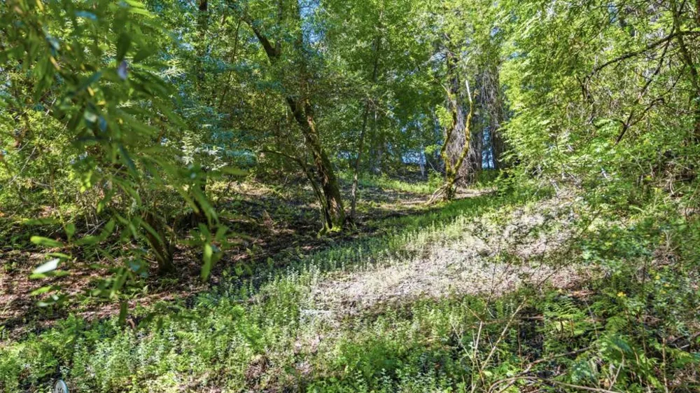 360 Rincon Way Boulder Creek, CA 95006