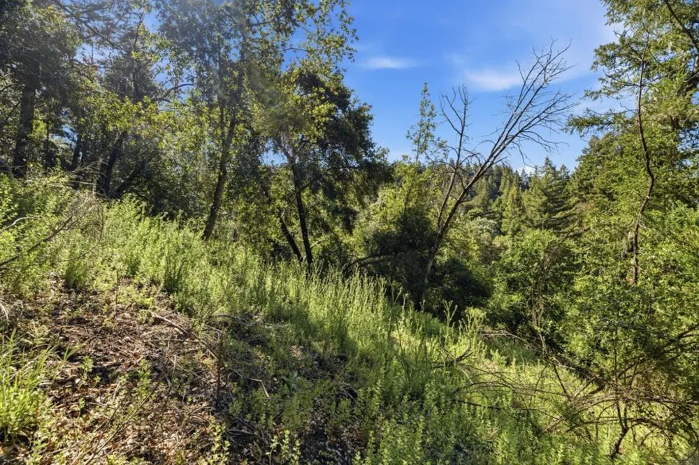 360 Rincon Way Boulder Creek, CA 95006