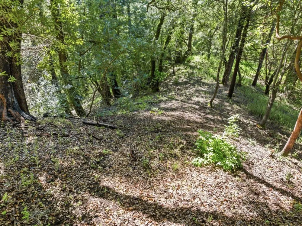 360 Rincon Way Boulder Creek, CA 95006