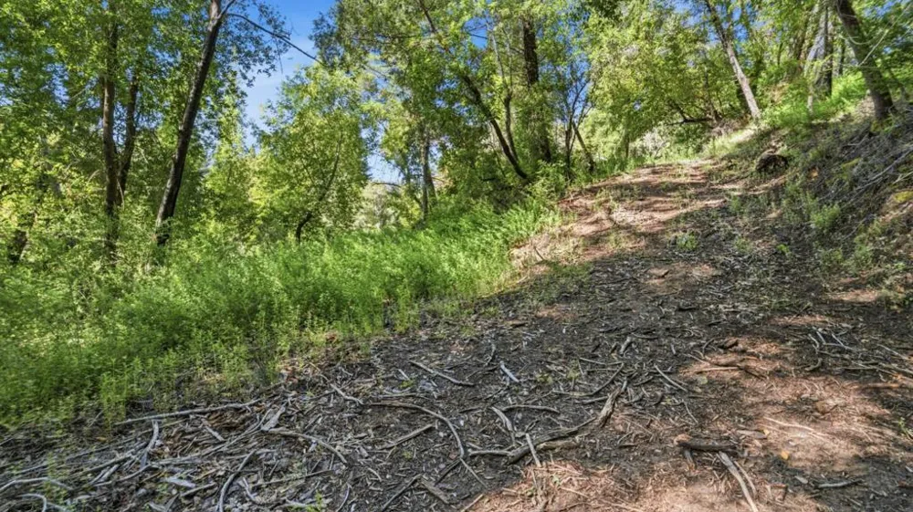 360 Rincon Way Boulder Creek, CA 95006