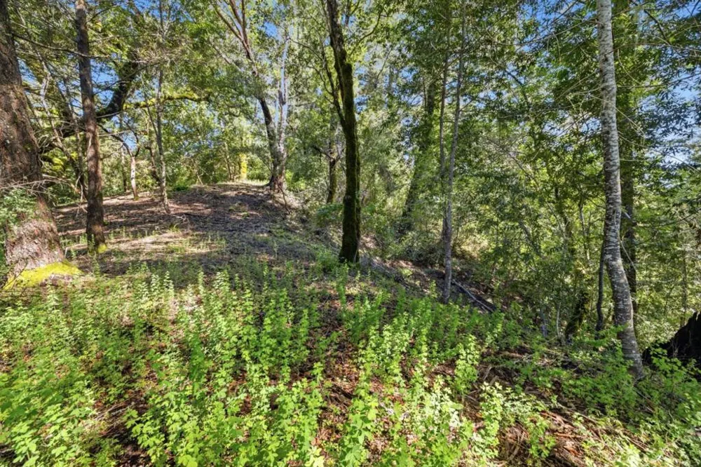360 Rincon Way Boulder Creek, CA 95006