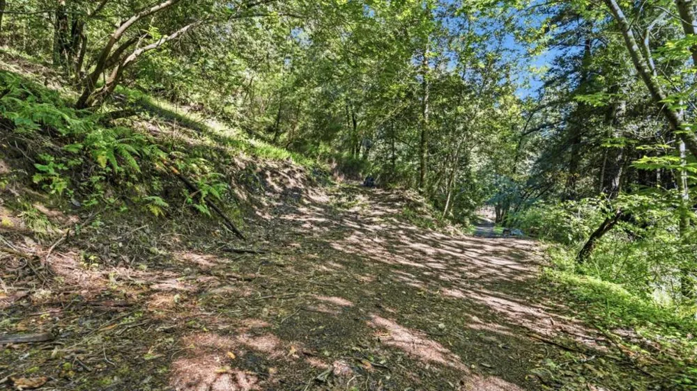360 Rincon Way Boulder Creek, CA 95006