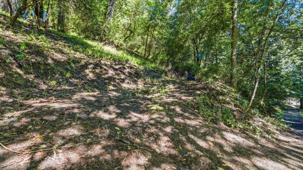 360 Rincon Way Boulder Creek, CA 95006