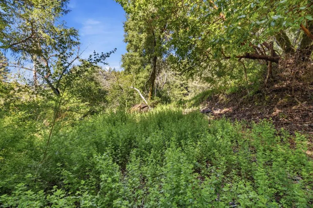 360 Rincon Way Boulder Creek, CA 95006