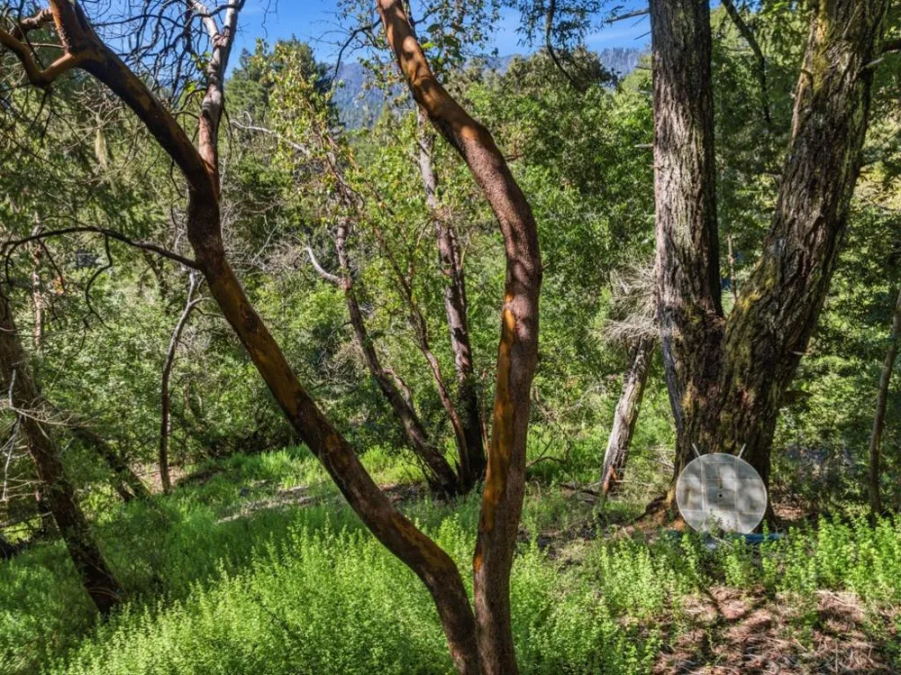 360 Rincon Way Boulder Creek, CA 95006
