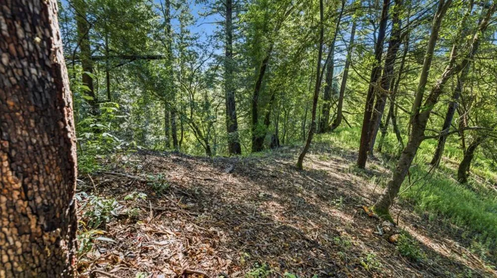 360 Rincon Way Boulder Creek, CA 95006