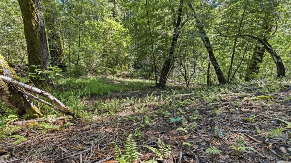 360 Rincon Way Boulder Creek, CA 95006
