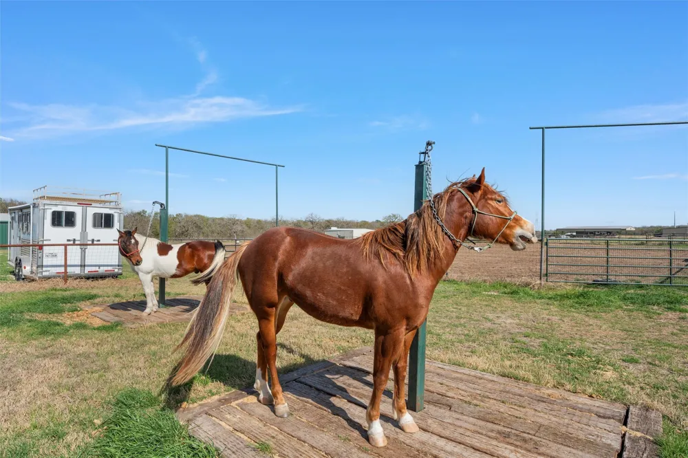399 Satin Rd Chilton, TX 76632
