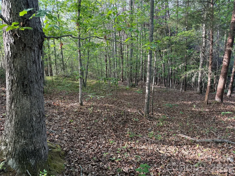 0 Shenandoah Drive #3B Spindale, NC 28160