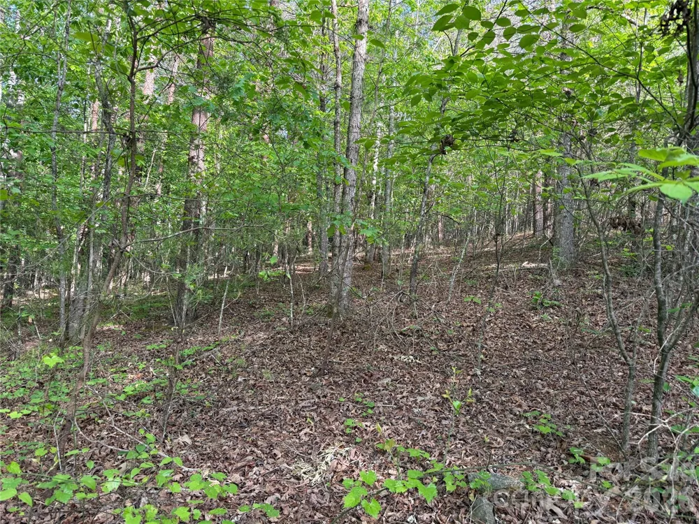 0 Shenandoah Drive #3B Spindale, NC 28160