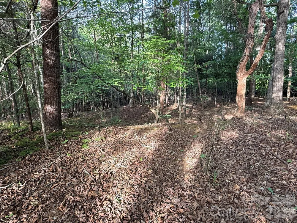0 Shenandoah Drive #3B Spindale, NC 28160