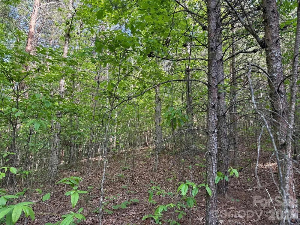 0 Shenandoah Drive #3B Spindale, NC 28160