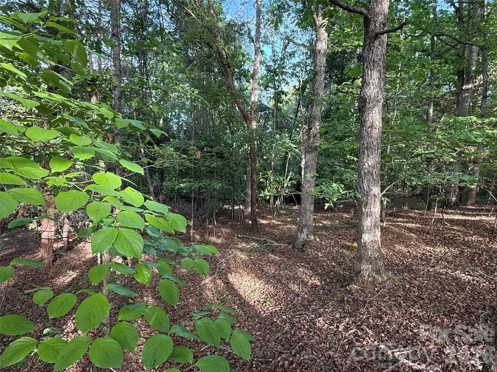 0 Shenandoah Drive #3B Spindale, NC 28160