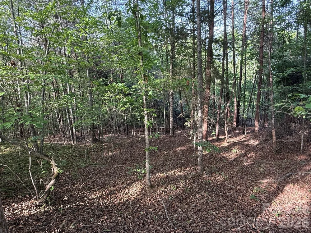 0 Shenandoah Drive #3B Spindale, NC 28160