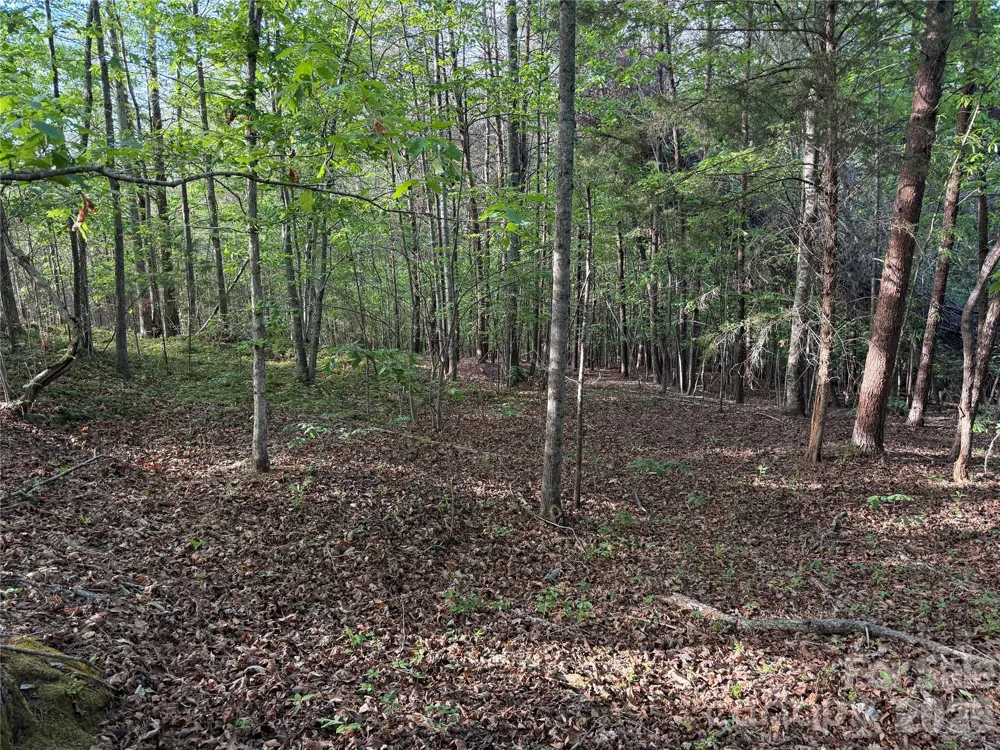 0 Shenandoah Drive #3B Spindale, NC 28160