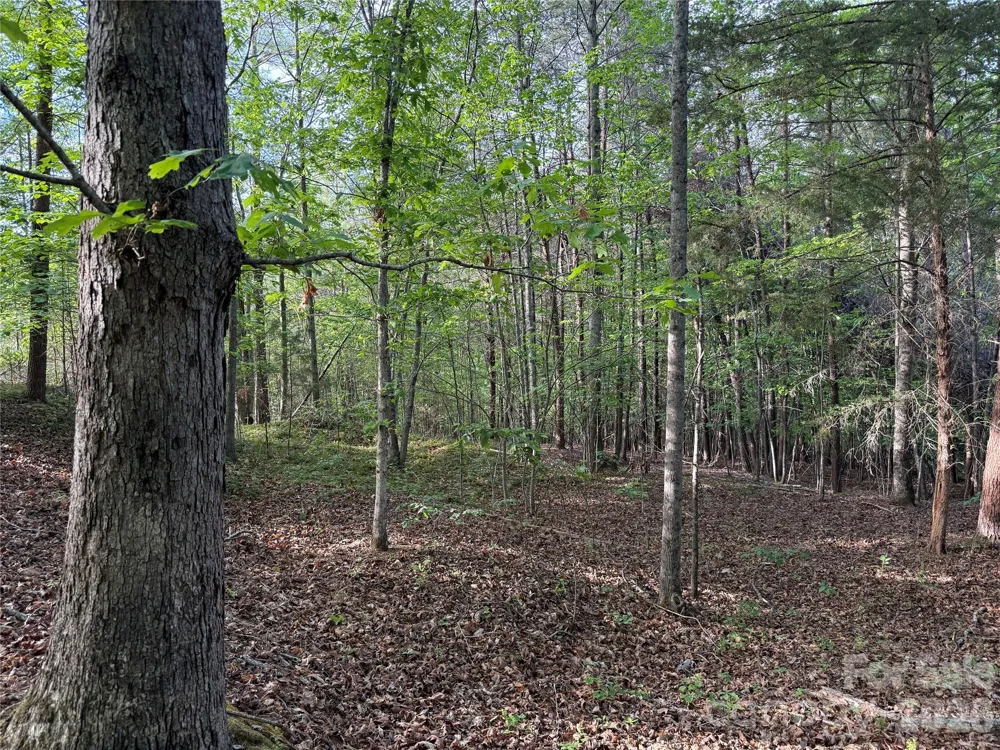 0 Shenandoah Drive #3B Spindale, NC 28160