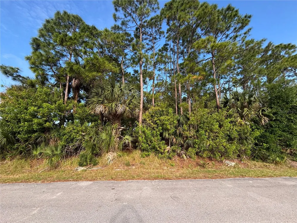 556 BURLINGTON AVENUE NE Palm Bay, FL 32907