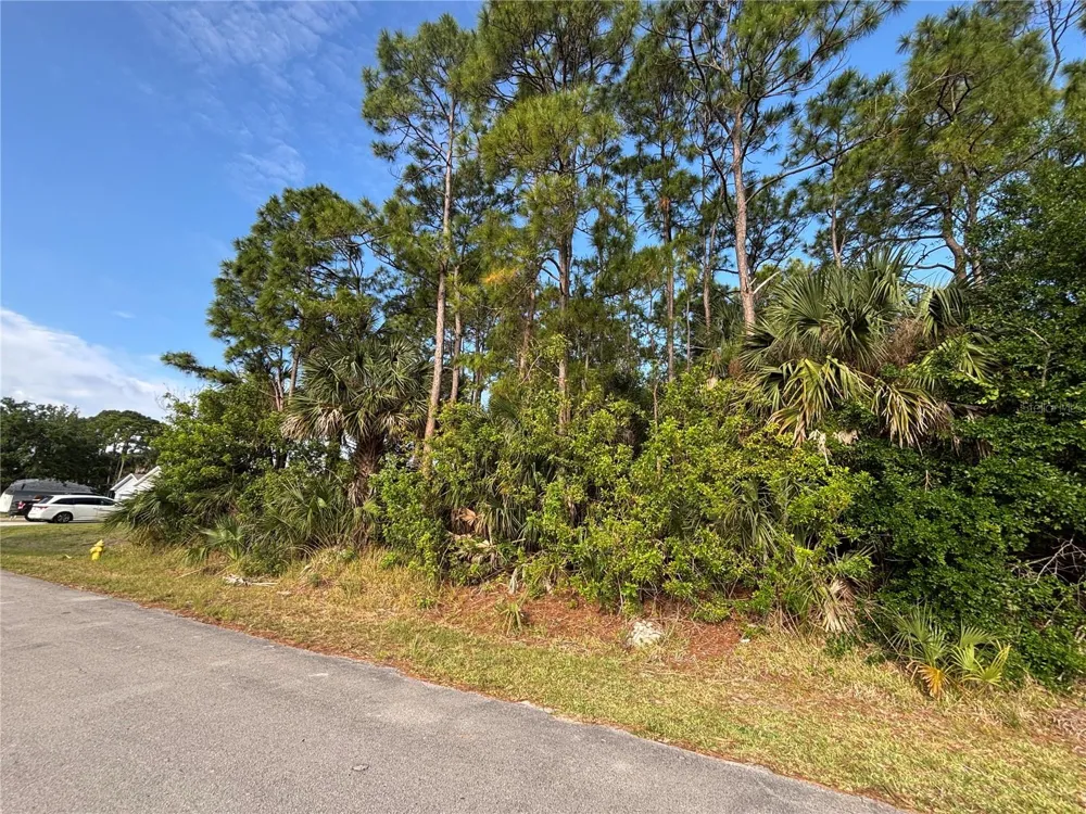 556 BURLINGTON AVENUE NE Palm Bay, FL 32907