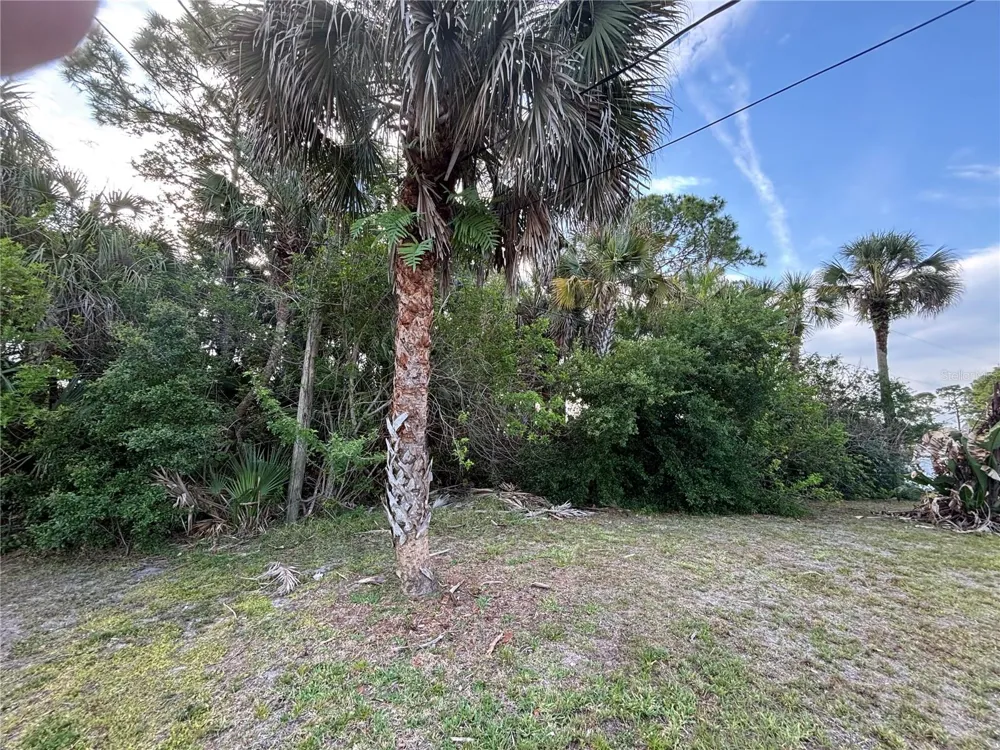 556 BURLINGTON AVENUE NE Palm Bay, FL 32907