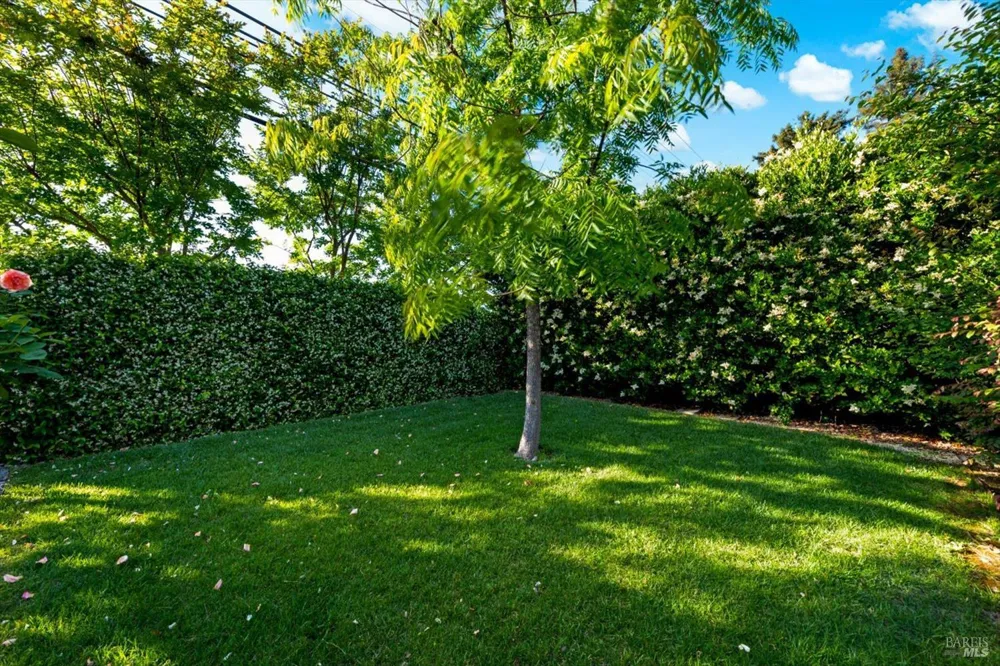 977 Pratt Avenue St. Helena, CA 94574