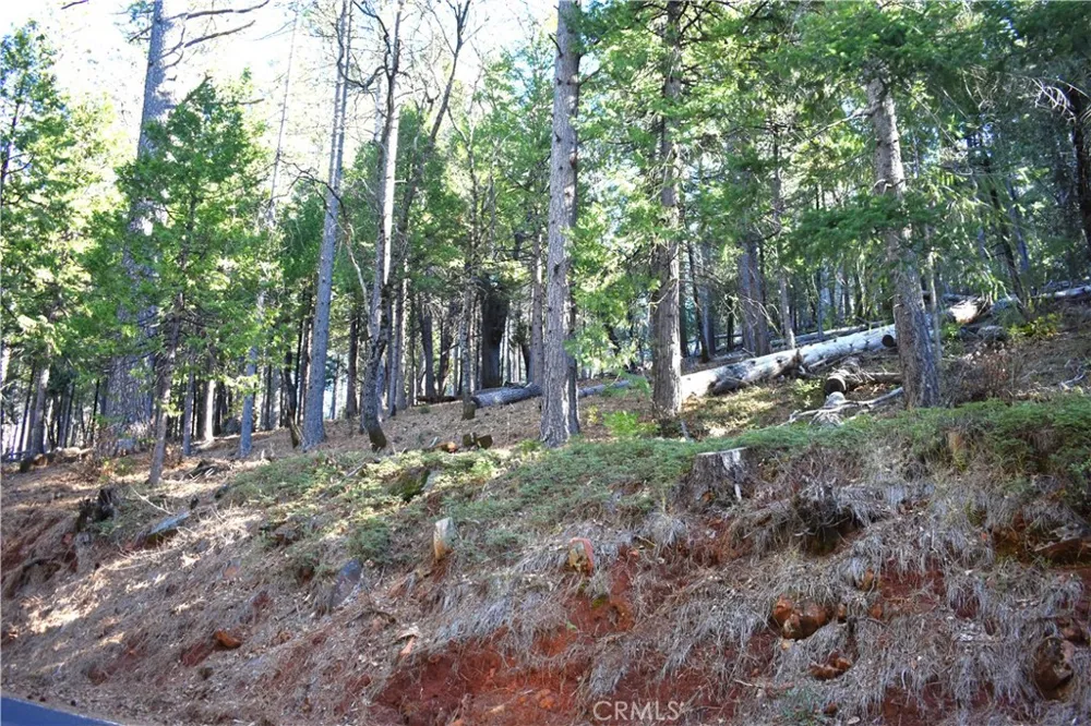 Forbestown Rd Oroville, CA 95966
