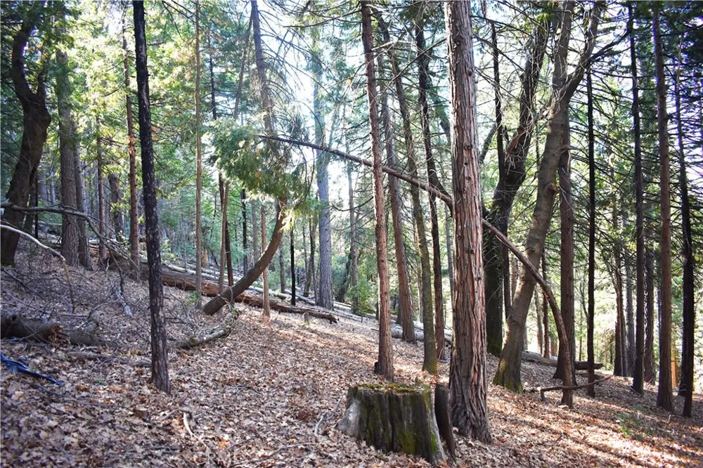 Forbestown Rd Oroville, CA 95966