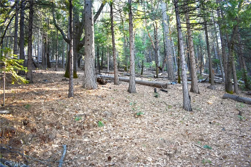 Forbestown Rd Oroville, CA 95966