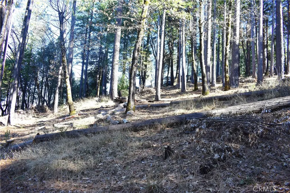 Forbestown Rd Oroville, CA 95966