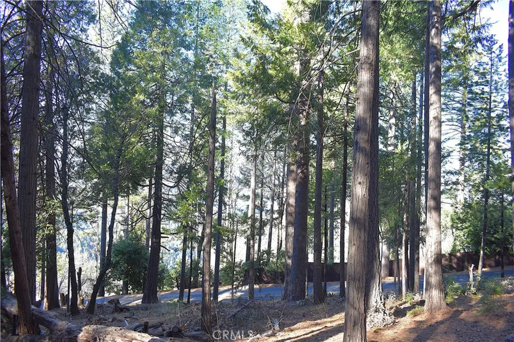 Forbestown Rd Oroville, CA 95966