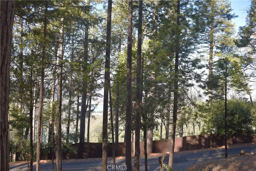 Forbestown Rd Oroville, CA 95966