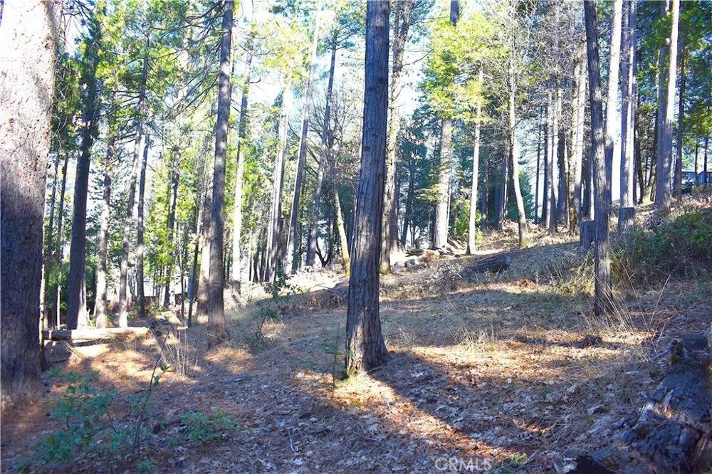 Forbestown Rd Oroville, CA 95966