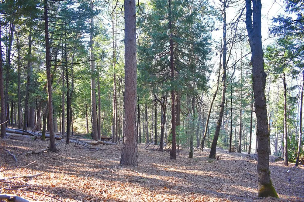 Forbestown Rd Oroville, CA 95966