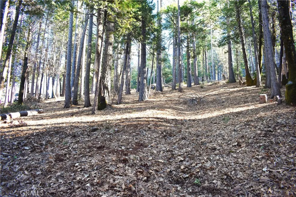 Forbestown Rd Oroville, CA 95966