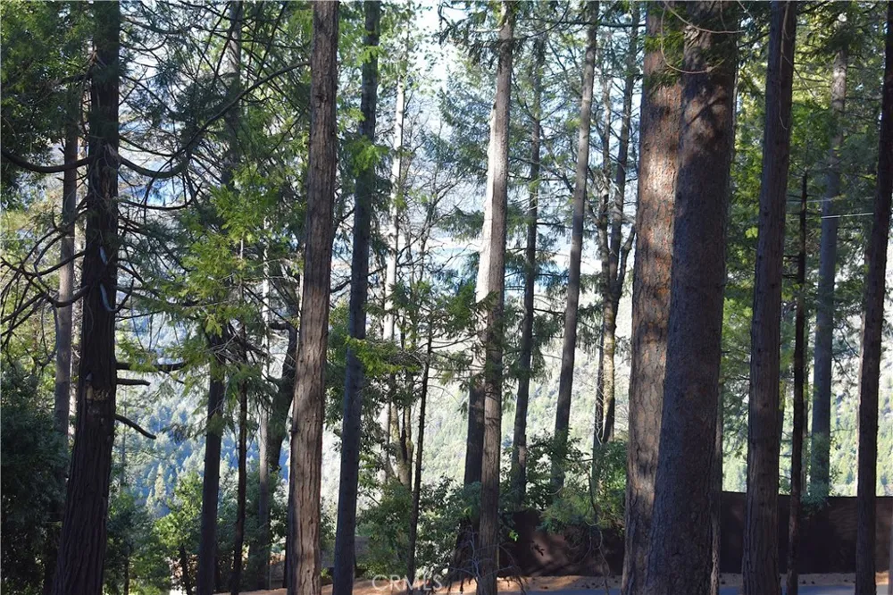 Forbestown Rd Oroville, CA 95966