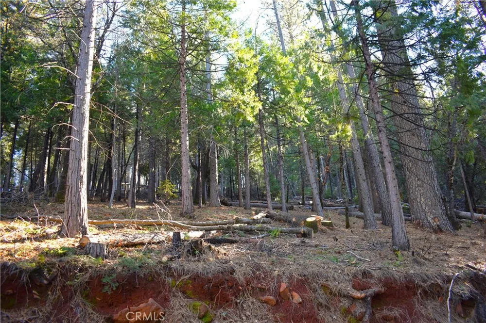 Forbestown Rd Oroville, CA 95966