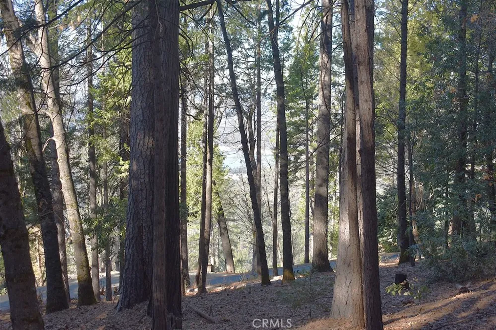 Forbestown Rd Oroville, CA 95966