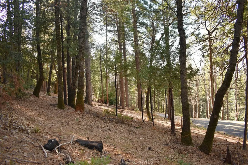 Forbestown Rd Oroville, CA 95966
