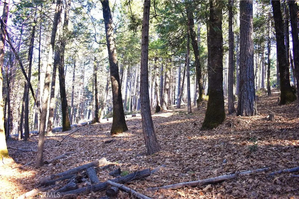 Forbestown Rd Oroville, CA 95966