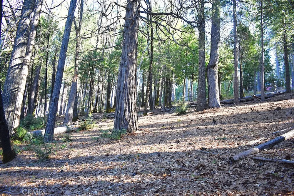 Forbestown Rd Oroville, CA 95966