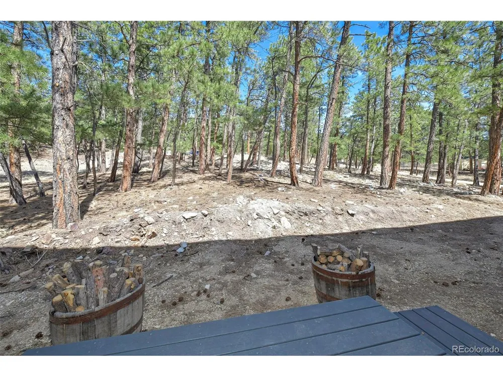 42 Hannah Circle Westcliffe, CO 81252