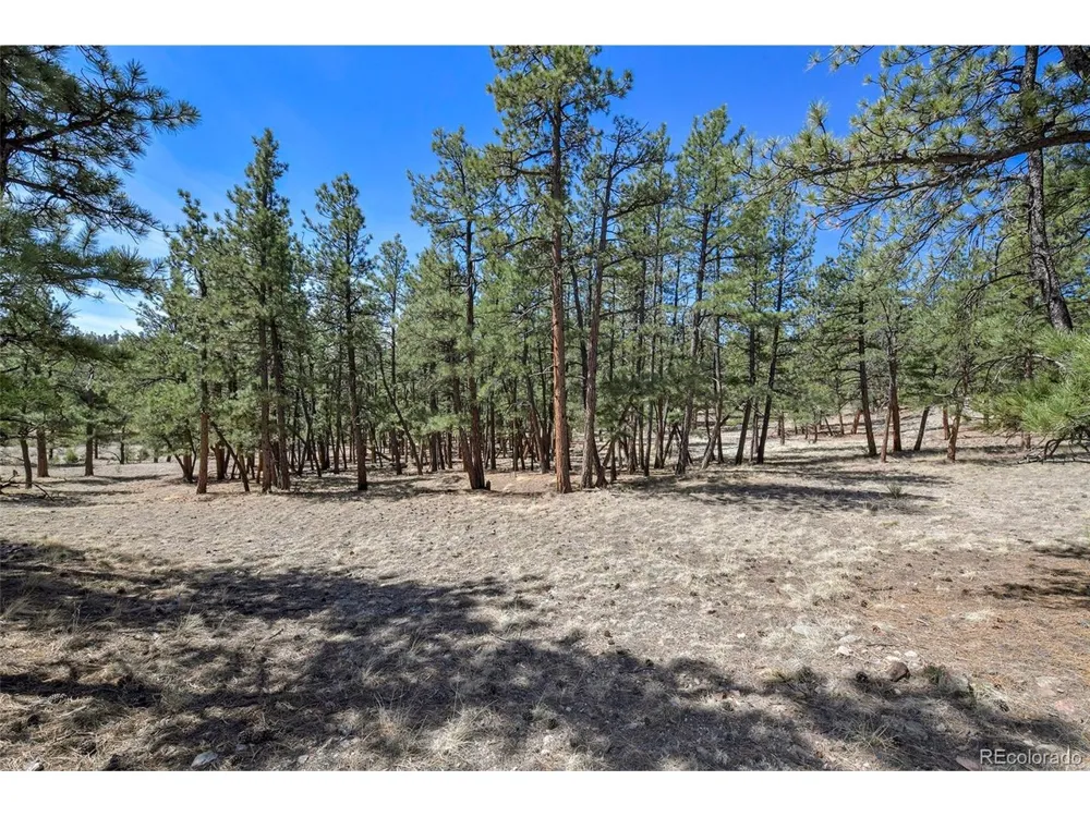 42 Hannah Circle Westcliffe, CO 81252