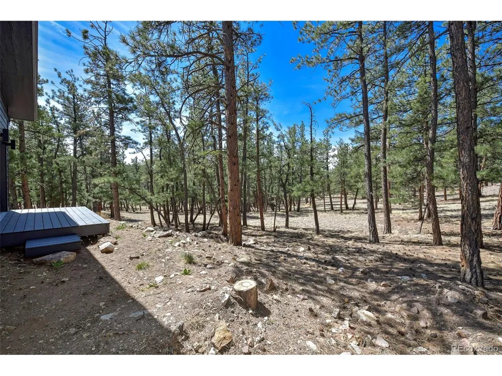 42 Hannah Circle Westcliffe, CO 81252