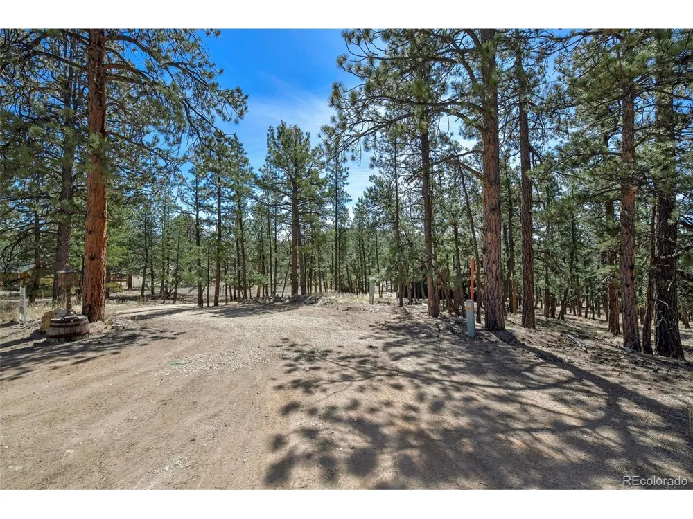 42 Hannah Circle Westcliffe, CO 81252