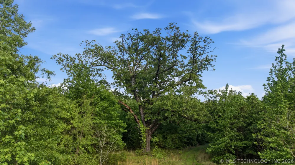 782 4380 ROAD Fort Towson, OK 74735