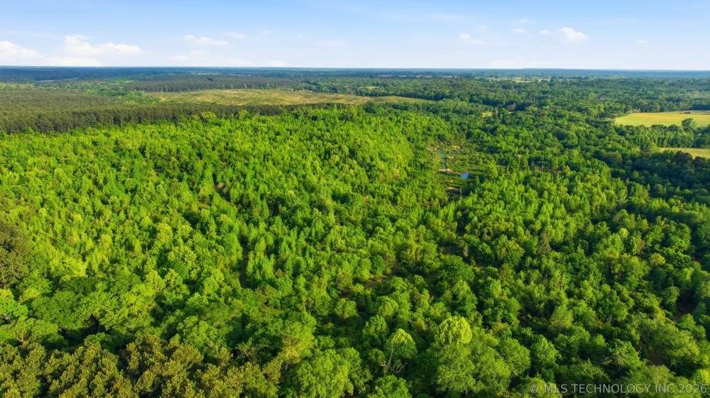 782 4380 ROAD Fort Towson, OK 74735