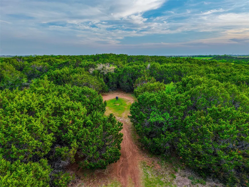 5636 Fm 56 Clifton, TX 76634