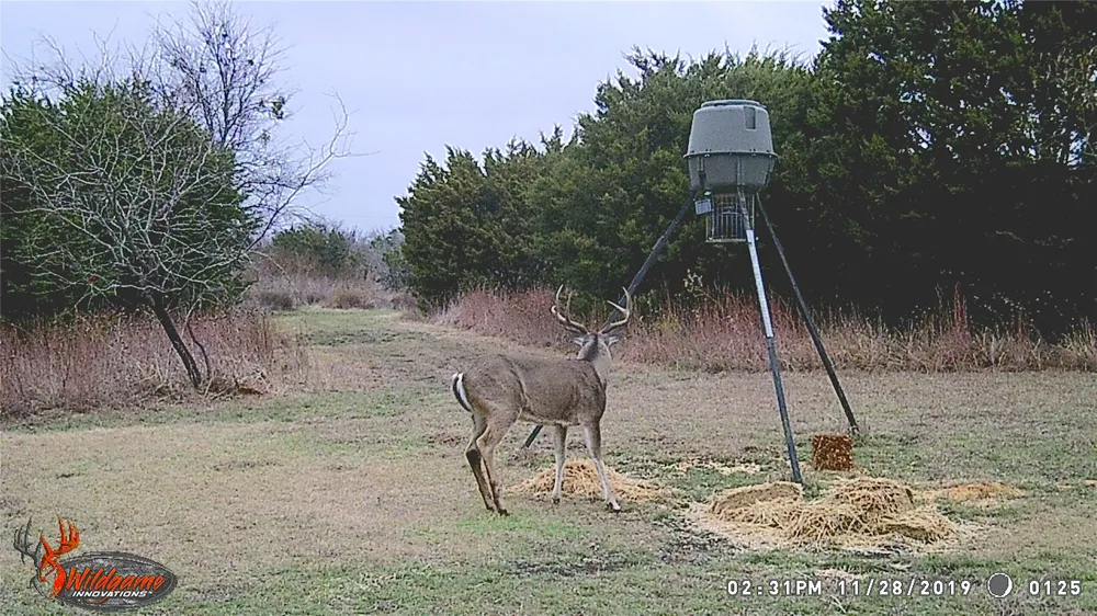5636 Fm 56 Clifton, TX 76634
