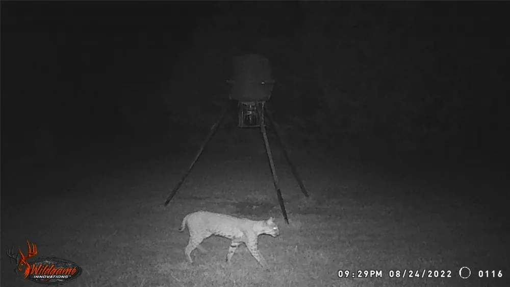 5636 Fm 56 Clifton, TX 76634