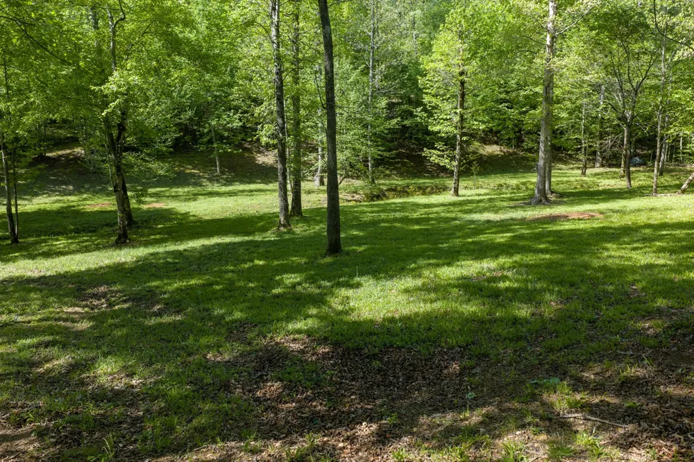 694 Lick Creek Boat Dock Loop Parsons, TN 38363