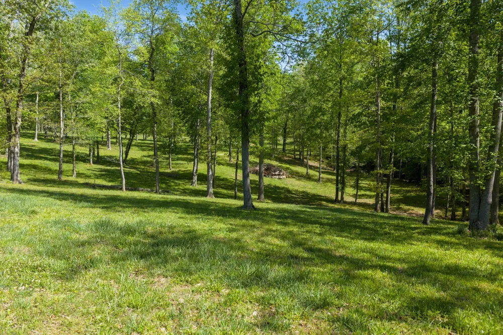 694 Lick Creek Boat Dock Loop Parsons, TN 38363